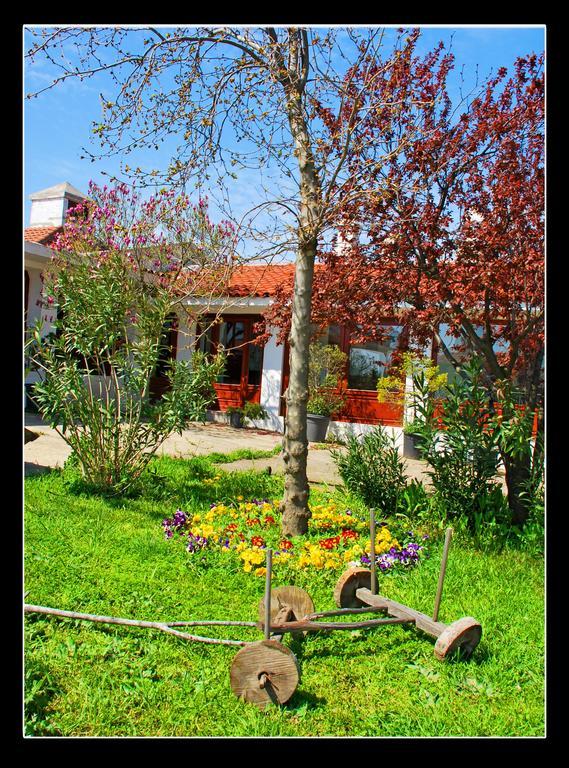 Villafe Catalca Экстерьер фото